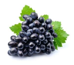 Grapes fruits Grapes fruits isolated on white background .